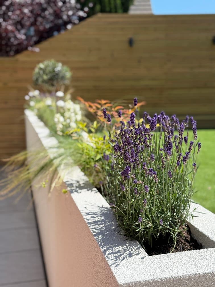 Landscape design project 5