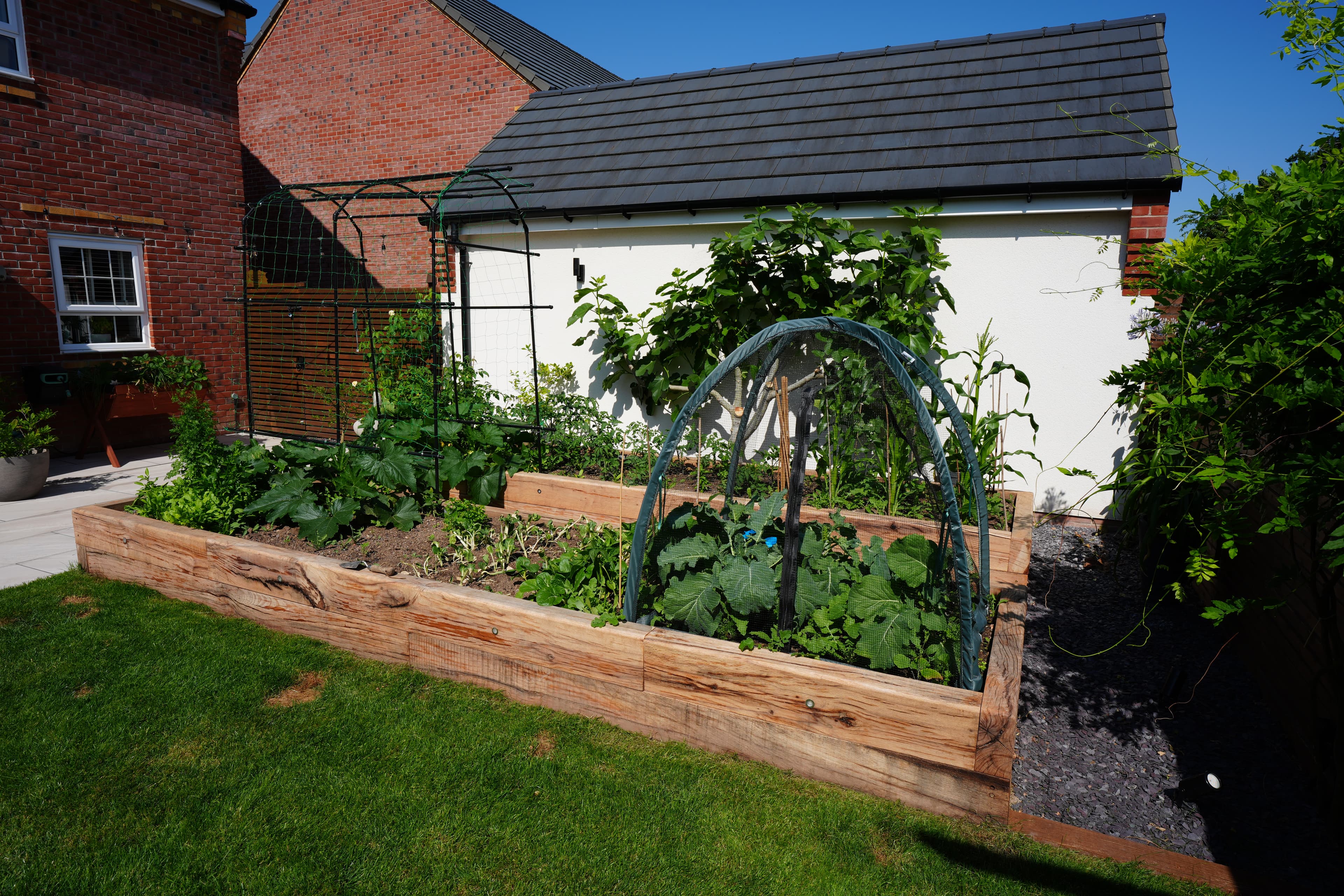 Kitchen veg garden area